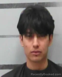 Mugshot of WILSON ALEGRIA