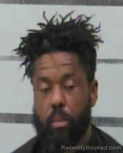 Mugshot of JOHNNY BROWN