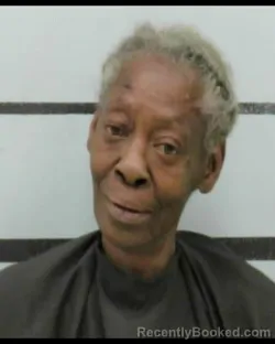 Mugshot of LINDA BAILEY