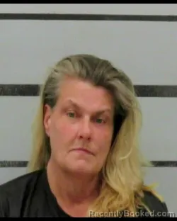 Mugshot of NANCY E BROWN booked in Lubbock County, Texas on July 14, 2026