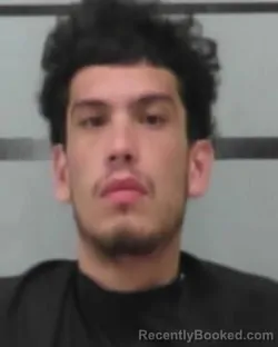 Mugshot of NICHOLAS BOWLEY