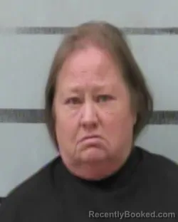 Mugshot of RHONDA BRAZIL