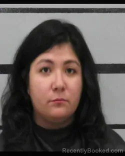 Mugshot of Kristan Castilleja booked in Lubbock County, Texas on October 25, 2026