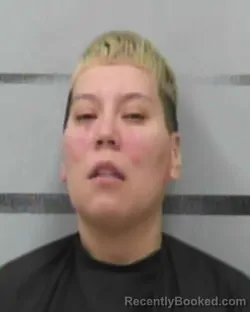 Mugshot of ROXANNE CASTILLO