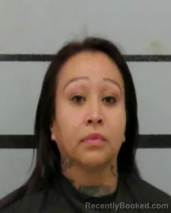 Mugshot of TAWNY CASTILLO
