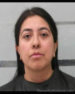 Mugshot of ELIZABETH ANN DELGADO booked in Lubbock County, Texas on July 1, 2026