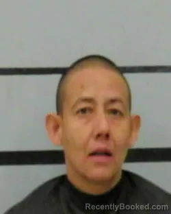 Mugshot of ROSANNA DAVILA booked in Lubbock County, Texas on March 26, 2026