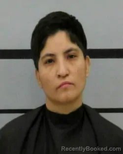 Mugshot of MICHELLE LEE FLORES
