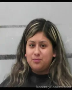 Mugshot of SHYANNE RAQUEL FLORES booked in Lubbock County, Texas on May 24, 2026