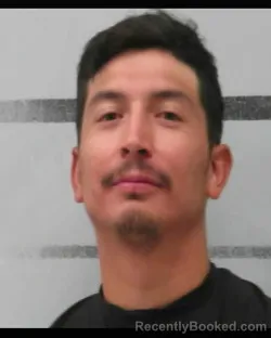 Mugshot of DOMINIQUE GILBERT GONZALES booked in Lubbock County, Texas on June 6, 2026
