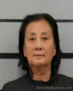 Mugshot of FU GAO