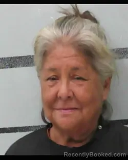 Mugshot of FRANCES MAE GONZALEZ booked in Lubbock County, Texas on July 2, 2026
