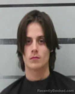 Mugshot of JOSHUA LUKE GIPSON