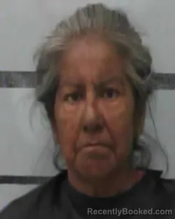 Mugshot of MARISELA GONZALES booked in Lubbock County, Texas on March 17, 2026