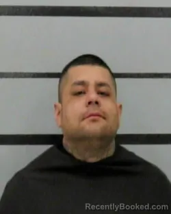 Mugshot of MARTIN LEE GOROSTIZA