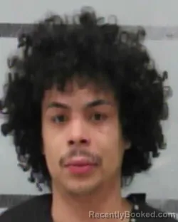 Mugshot of TYLER GARCIA