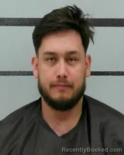 Mugshot of LUKE HOLT