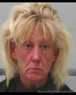 Mugshot of NATHALIE HERILS booked in Lubbock County, Texas on March 24, 2026