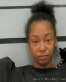 Mugshot of RAVEN HOLMES booked in Lubbock County, Texas on March 24, 2026