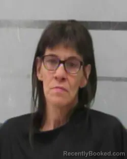 Mugshot of TERESA HANSON