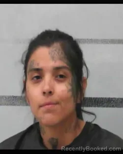 Mugshot of JUANITA JARAMILLO booked in Lubbock County, Texas on April 16, 2026