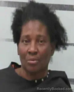 Mugshot of RACHEL JOHNSON