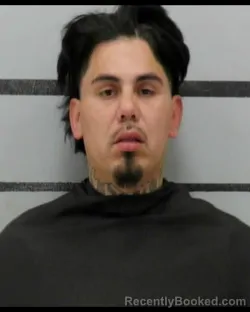 Mugshot of RENE LUCIO