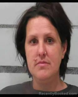 Mugshot of SHELLEY DAWN LAMPP booked in Lubbock County, Texas on March 25, 2026