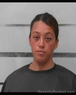 Mugshot of BOBBIE MCKINNIE booked in Lubbock County, Texas on March 29, 2026