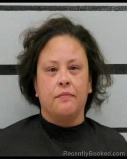 Mugshot of AUDREY PENA booked in Lubbock County, Texas on May 17, 2026