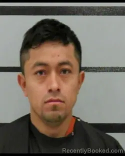 Mugshot of DANERI PALACIOS ARREOLA