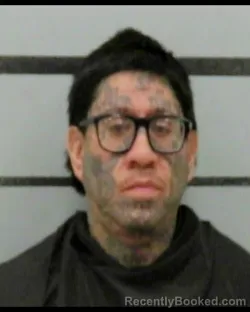 Mugshot of DEVYN PAUL PEREZ