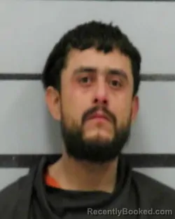 Mugshot of ALONSO JR RENTERIA