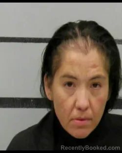 Mugshot of CHRISTA RAMON booked in Lubbock County, Texas on July 9, 2026