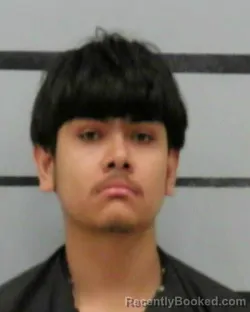Mugshot of DANIEL RODRIGUEZ JR