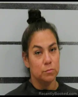 Mugshot of JOANNE RANGEL booked in Lubbock County, Texas on June 2, 2026