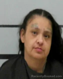Mugshot of MELISSA ANN RODRIGUEZ