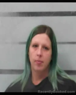 Mugshot of TYLOR ROBINSON booked in Lubbock County, Texas on March 29, 2026