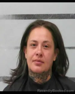 Mugshot of VANESSA ANA RAMIREZ booked in Lubbock County, Texas on May 24, 2026