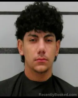 Mugshot of Camil Emmanuel Stark booked in Lubbock County, Texas on August 21, 2026