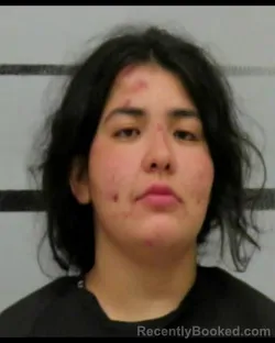 Mugshot of Chassidy Lynn Sanchez booked in Lubbock County, Texas on August 18, 2026