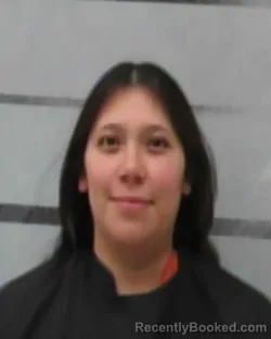 Mugshot of DANIELLE ANGELICA SOTO