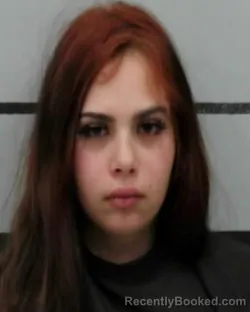 Mugshot of SIERRA STONEHAM