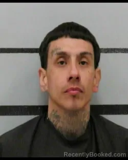 Mugshot of JOHNNY TREVINO