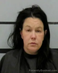 Mugshot of MEGAN MICHELLE TEIXEIRA booked in Lubbock County, Texas on April 1, 2026