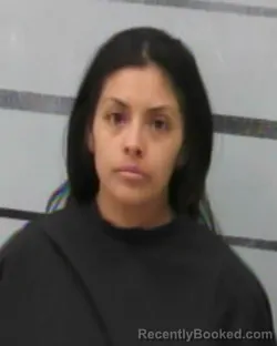 Mugshot of HELEN VASQUEZ