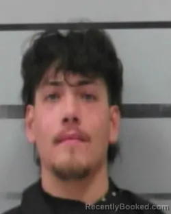 Mugshot of HECTOR MARTIN VILLEGAS