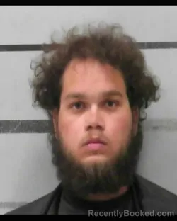 Mugshot of Austin Wendall Williams