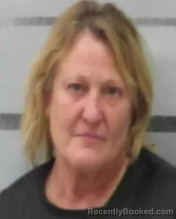 Mugshot of LISA GAYLE WELKER-MAYO
