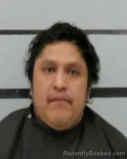 Mugshot of FELIPE YA-VENTURA